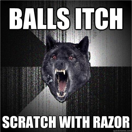 Insanity Wolf Meme | image tagged in memes,insanity wolf