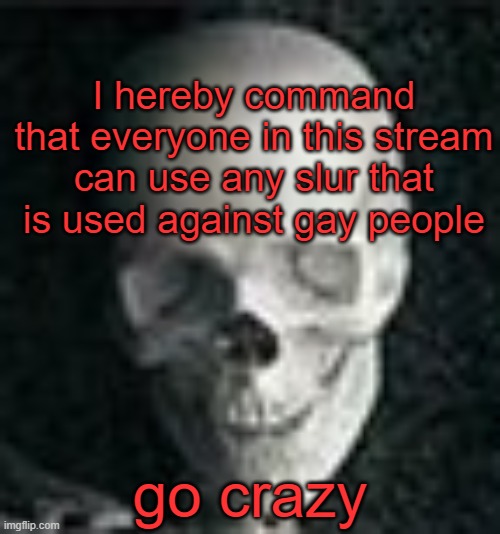 I decree this as a gay person | I hereby command that everyone in this stream can use any slur that is used against gay people; go crazy | image tagged in skull | made w/ Imgflip meme maker