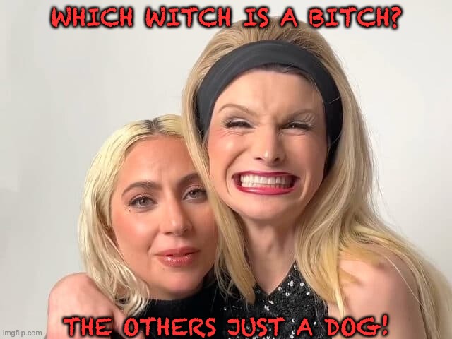 Cupid Stunts... | WHICH WITCH IS A BITCH? THE OTHERS JUST A DOG! | image tagged in stupid people,cupid stunt,libtards | made w/ Imgflip meme maker