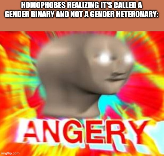 gender heteronary | HOMOPHOBES REALIZING IT'S CALLED A GENDER BINARY AND NOT A GENDER HETERONARY: | image tagged in surreal angery | made w/ Imgflip meme maker