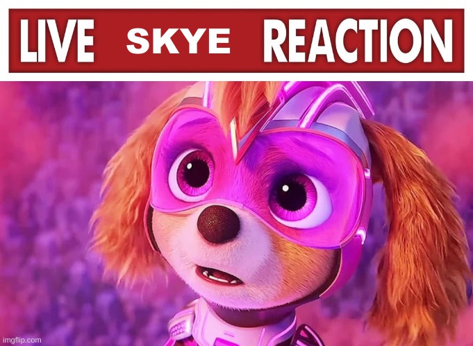 SKYE | image tagged in live x reaction,skye staring | made w/ Imgflip meme maker