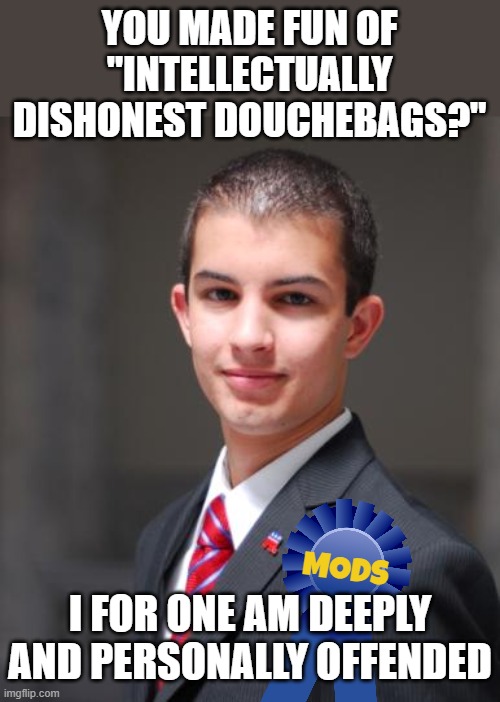 Nobody: The Conservative Stream: | YOU MADE FUN OF "INTELLECTUALLY DISHONEST DOUCHEBAGS?"; I FOR ONE AM DEEPLY AND PERSONALLY OFFENDED; MODS | image tagged in college conservative,memes,mods,stream,intellectually dishonest,offended | made w/ Imgflip meme maker