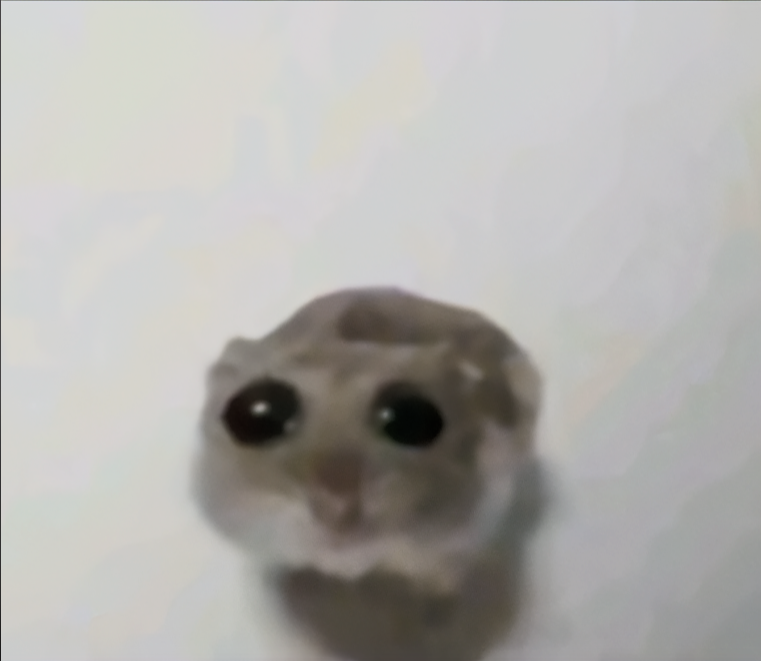 Sad hamster girly pop Blank Meme Template