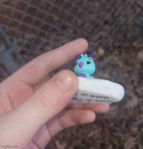 Found a painted rock. Inma rehudr it but I'm keeping the silly plastic goober | made w/ Imgflip meme maker