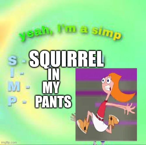 CANDACE NO | SQUIRREL; IN; MY; PANTS | image tagged in phineas and ferb,funny | made w/ Imgflip meme maker