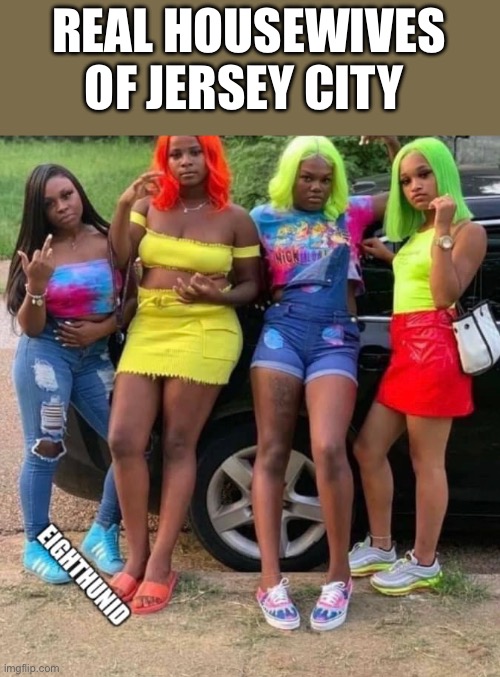 real housewives | REAL HOUSEWIVES
OF JERSEY CITY | image tagged in real housewives | made w/ Imgflip meme maker
