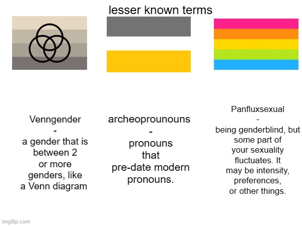 lesser known terms; archeoprounouns 
-
pronouns that pre-date modern pronouns. Venngender
-
a gender that is between 2 or more genders, like a Venn diagram; Panfluxsexual
-
being genderblind, but some part of your sexuality fluctuates. It may be intensity, preferences, or other things. | made w/ Imgflip meme maker