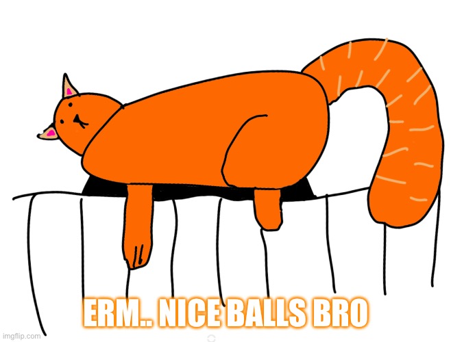 Catnapper anouns temp | ERM.. NICE BALLS BRO | image tagged in catnapper anouns temp | made w/ Imgflip meme maker
