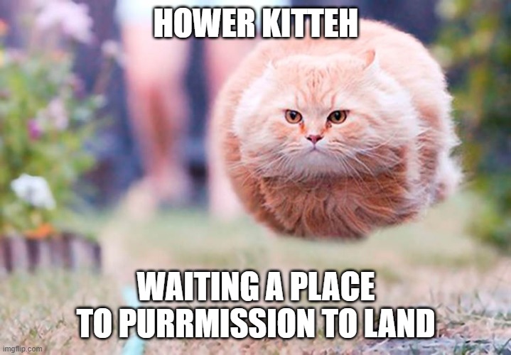Sanic Kitty | HOWER KITTEH WAITING A PLACE TO PURRMISSION TO LAND | image tagged in sanic kitty | made w/ Imgflip meme maker