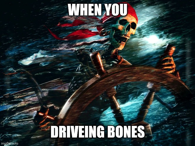 WHEN YOU; DRIVEING BONES | image tagged in fun | made w/ Imgflip meme maker