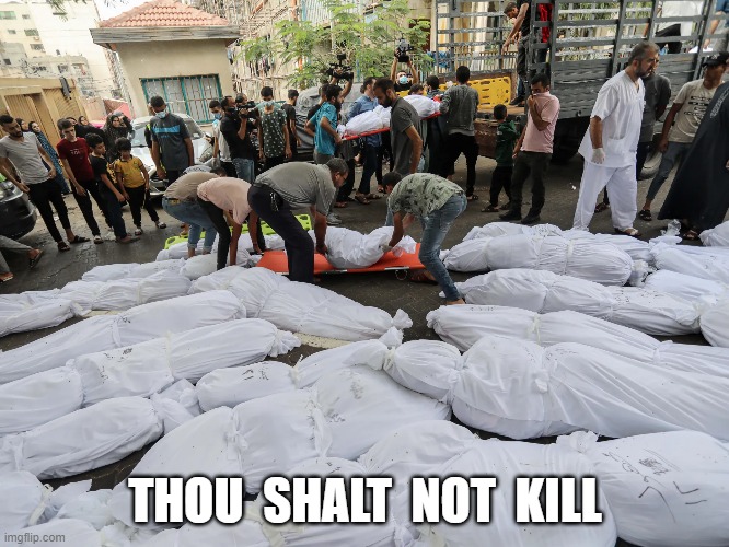 Not Kill | THOU  SHALT  NOT  KILL | image tagged in ten commandments | made w/ Imgflip meme maker