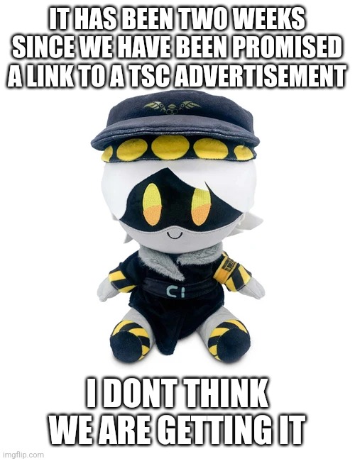 N Plushie | IT HAS BEEN TWO WEEKS SINCE WE HAVE BEEN PROMISED A LINK TO A TSC ADVERTISEMENT; I DONT THINK WE ARE GETTING IT | image tagged in n plushie | made w/ Imgflip meme maker