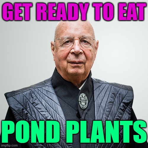 Get Ready to Eat Pond Plants | GET READY TO EAT; POND PLANTS | image tagged in klaus von commie schnitzel says eat ze bugs,big government,evil government,scumbag government,politics lol,political humor | made w/ Imgflip meme maker