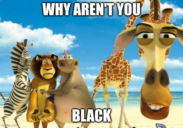 Madagascar giraffe judging | WHY AREN'T YOU BLACK | image tagged in madagascar giraffe judging | made w/ Imgflip meme maker