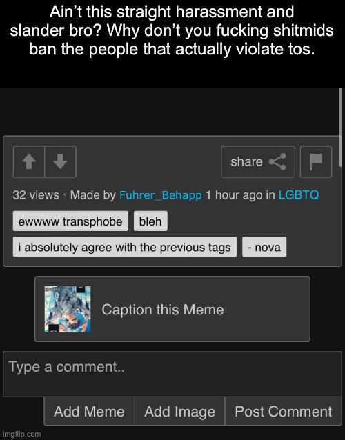 Idgaf if it’s not harassment it’s a good example | Ain’t this straight harassment and slander bro? Why don’t you fucking shitmids ban the people that actually violate tos. | made w/ Imgflip meme maker
