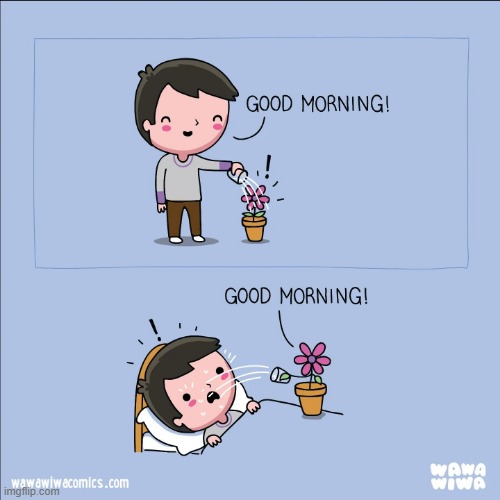 image tagged in flower,cup,water,good morning | made w/ Imgflip meme maker