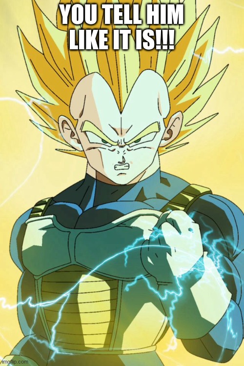 Super Saiyan Vegeta | YOU TELL HIM LIKE IT IS!!! | image tagged in super saiyan vegeta | made w/ Imgflip meme maker