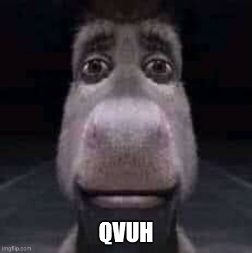 Qvuh | QVUH | image tagged in donkey staring,qvuh | made w/ Imgflip meme maker