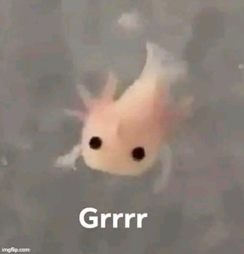 image tagged in grrrr | made w/ Imgflip meme maker