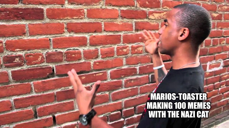 Slander | MARIOS-TOASTER MAKING 100 MEMES WITH THE NAZI CAT | image tagged in talking to wall | made w/ Imgflip meme maker
