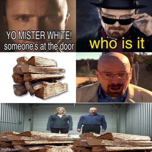 Yo Mister White, someone’s at the door! | image tagged in yo mister white someone s at the door | made w/ Imgflip meme maker