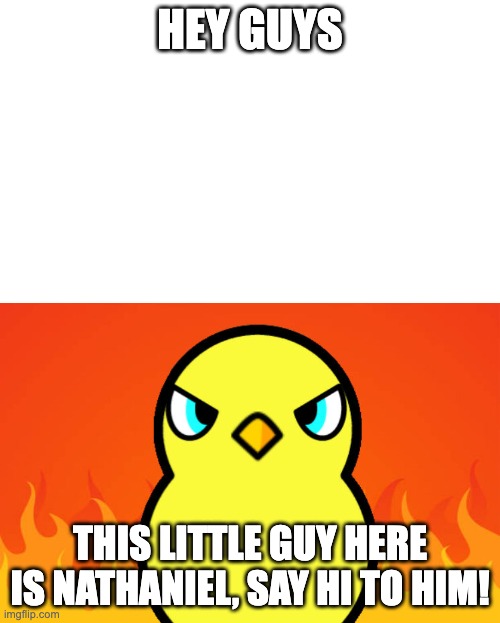 Duck Life Duck Hates | HEY GUYS; THIS LITTLE GUY HERE IS NATHANIEL, SAY HI TO HIM! | image tagged in duck life duck hates | made w/ Imgflip meme maker