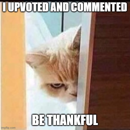 PEEKING ANGRY HALF CAT | I UPVOTED AND COMMENTED BE THANKFUL | image tagged in peeking angry half cat | made w/ Imgflip meme maker