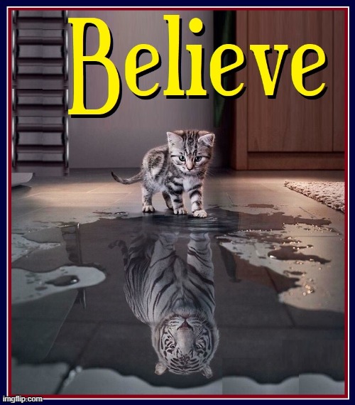 Act with Confidence. You  are what you present to others | image tagged in vince vance,kittens,cats,reflection,memes,believe | made w/ Imgflip meme maker