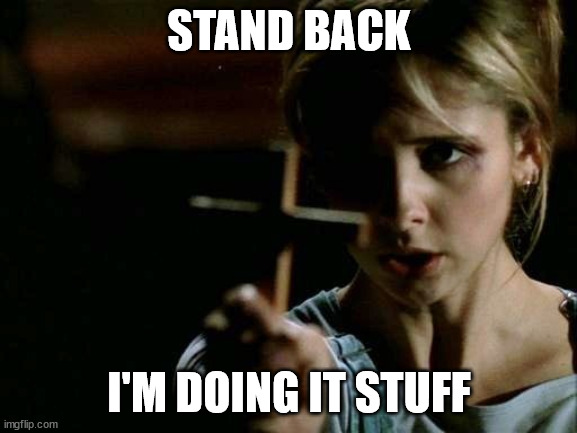 Stand back I'm doing IT stuff | STAND BACK; I'M DOING IT STUFF | image tagged in buffy cross vampire | made w/ Imgflip meme maker