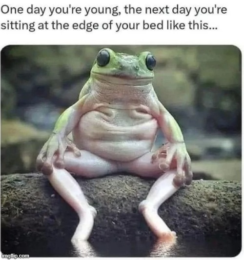 froggyyyy | image tagged in kermit the frog not,weird | made w/ Imgflip meme maker