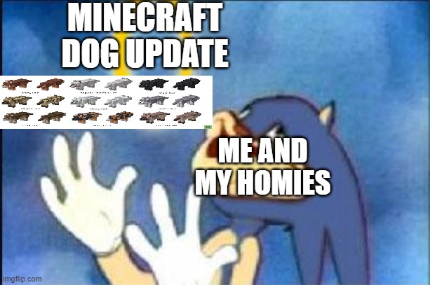 The doggo update happened and I had to make this I might be late for it but it’s here | MINECRAFT DOG UPDATE; ME AND MY HOMIES | image tagged in sonic derp,minecraft | made w/ Imgflip meme maker