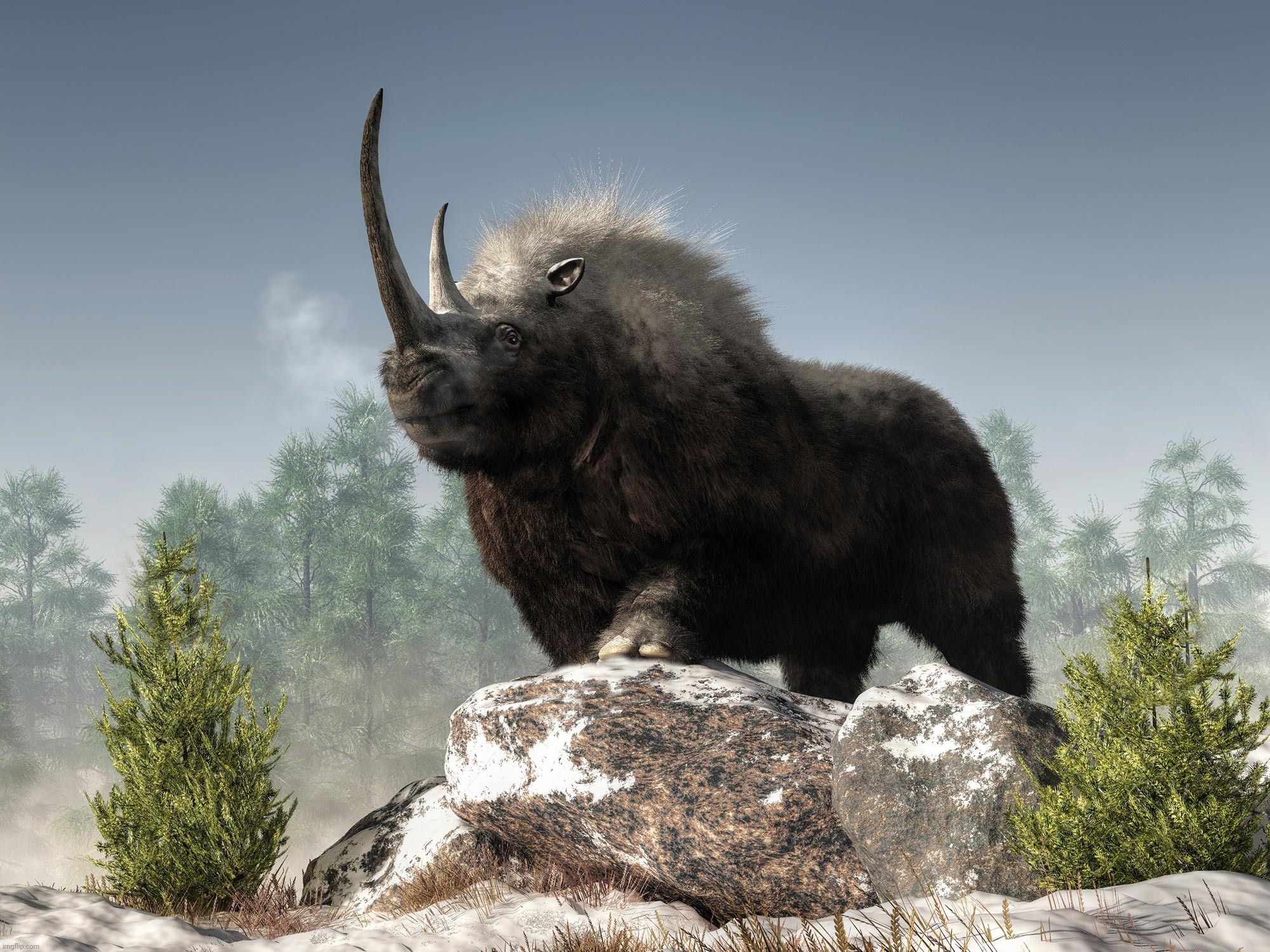More recent evidence suggests the Woolly rhino was still alive in Siberia as recently as 9800 years ago | made w/ Imgflip meme maker