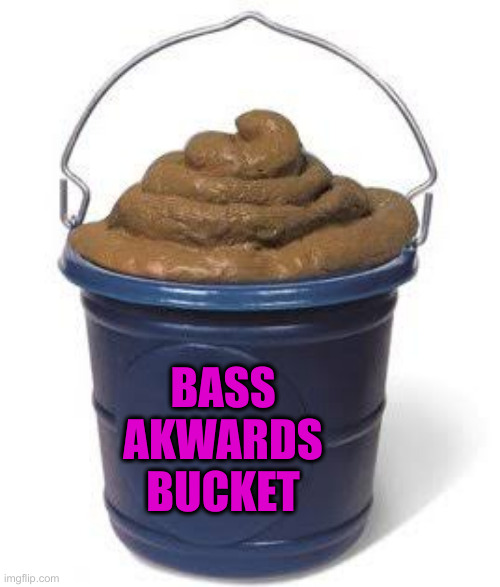 Bucket of shit | BASS
AKWARDS
BUCKET | image tagged in bucket of shit | made w/ Imgflip meme maker