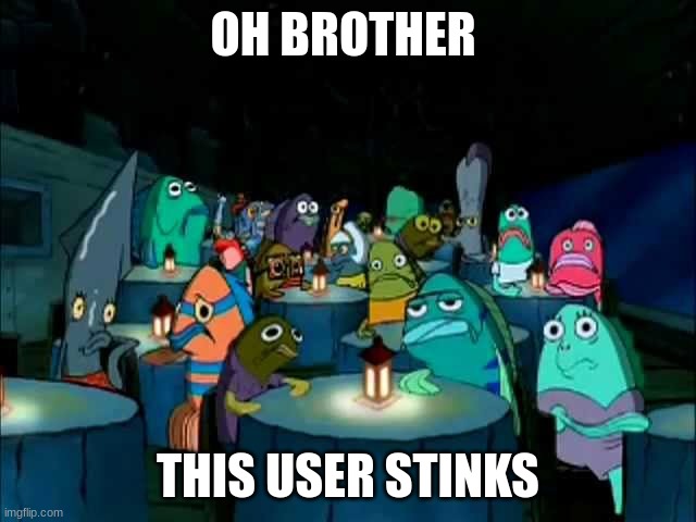 Oh brother this guy stinks | OH BROTHER THIS USER STINKS | image tagged in oh brother this guy stinks | made w/ Imgflip meme maker