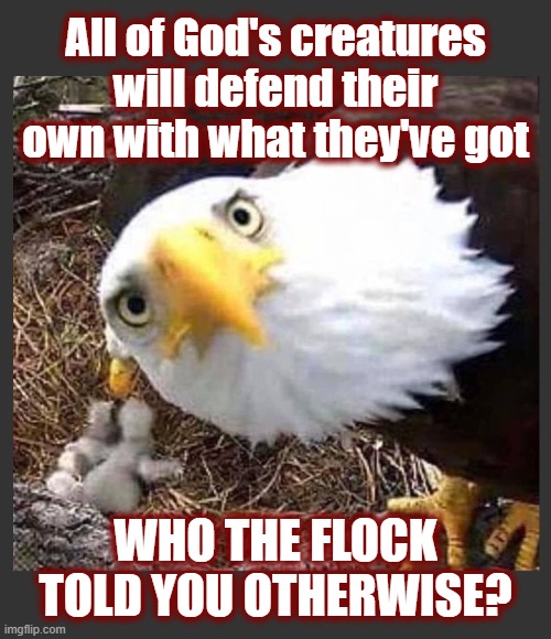 Black Rifles Matter | All of God's creatures will defend their own with what they've got; WHO THE FLOCK TOLD YOU OTHERWISE? | image tagged in self defense,2a,prepping,ar15,jadscomms | made w/ Imgflip meme maker
