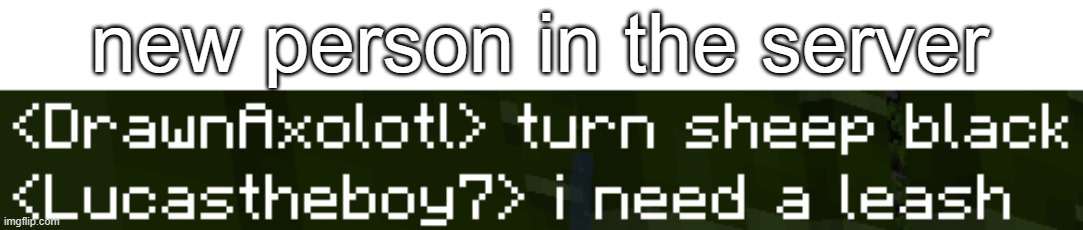 :D | new person in the server | made w/ Imgflip meme maker