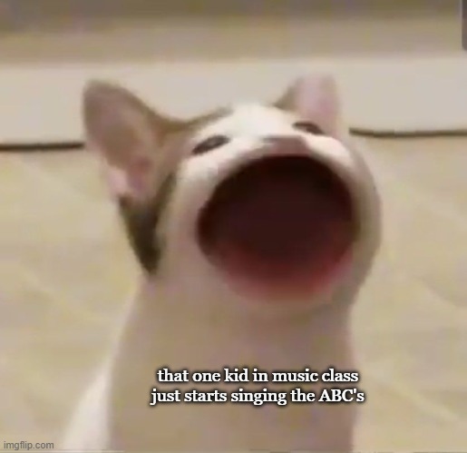 ThatOneKid | that one kid in music class just starts singing the ABC's | image tagged in funny cat,that one kid,abc | made w/ Imgflip meme maker