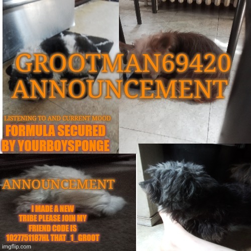 We will be known as the imgflipperz | FORMULA SECURED BY YOURBOYSPONGE; I MADE A NEW TRIBE PLEASE JOIN MY FRIEND CODE IS 1027751187HL THAT_1_GROOT | image tagged in grootman69420 announcement template 2023 july | made w/ Imgflip meme maker