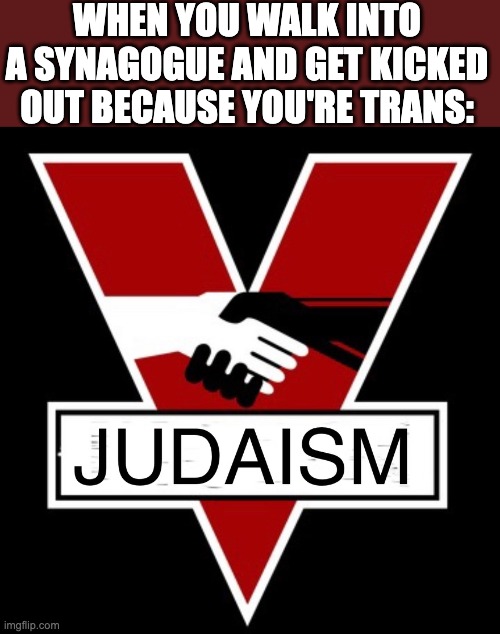 Based on a true story (That synagogue hates me for some reason even though I have been courteous to them) | WHEN YOU WALK INTO A SYNAGOGUE AND GET KICKED OUT BECAUSE YOU'RE TRANS: | image tagged in synagogue,judaism,jew,ingsoc,orwell,1984 | made w/ Imgflip meme maker