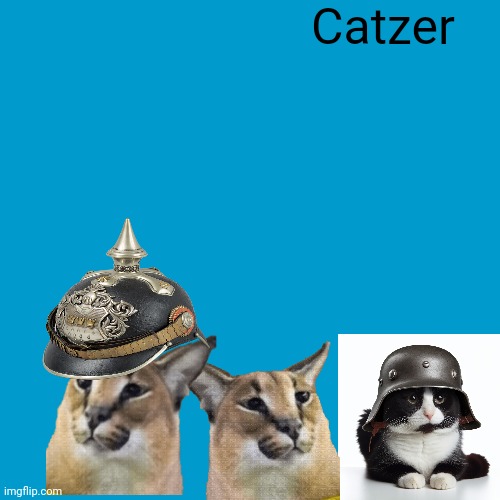 Catherine blue  blue album | Catzer | image tagged in blank weezer blue album edit | made w/ Imgflip meme maker