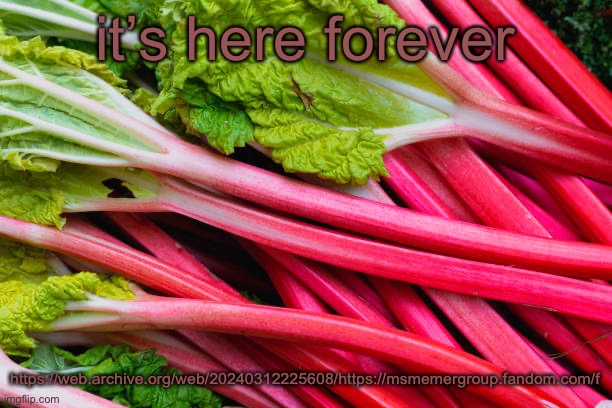 rhubarb | it’s here forever; https://web.archive.org/web/20240312225608/https://msmemergroup.fandom.com/f | image tagged in rhubarb | made w/ Imgflip meme maker