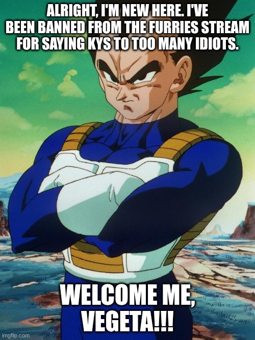 Welcome me, and might I be introduced? | ALRIGHT, I'M NEW HERE. I'VE BEEN BANNED FROM THE FURRIES STREAM FOR SAYING KYS TO TOO MANY IDIOTS. WELCOME ME,
VEGETA!!! | image tagged in vegeta | made w/ Imgflip meme maker