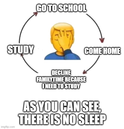 Goodby life | GO TO SCHOOL; COME HOME; STUDY; DECLINE FAMILYTIME BECAUSE I NEED TO STUDY; AS YOU CAN SEE, THERE IS NO SLEEP | image tagged in i meet someone we talk they leave,school,studying,pain,loop,repeat | made w/ Imgflip meme maker