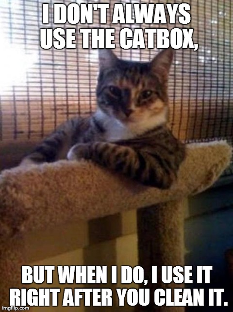 Notice it says "I don't always use the catbox." | I DON'T ALWAYS USE THE CATBOX, BUT WHEN I DO, I USE IT RIGHT AFTER YOU CLEAN IT. | image tagged in memes,the most interesting cat in the world | made w/ Imgflip meme maker