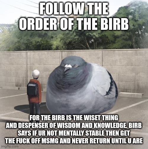 everyone neds to see this. make it hot on the front page | FOLLOW THE ORDER OF THE BIRB; FOR THE BIRB IS THE WISET THING AND DESPENSER OF WISDOM AND KNOWLEDGE. BIRB SAYS IF UR NOT MENTALLY STABLE THEN GET THE FUCK OFF MSMG AND NEVER RETURN UNTIL U ARE | image tagged in beeg birb | made w/ Imgflip meme maker