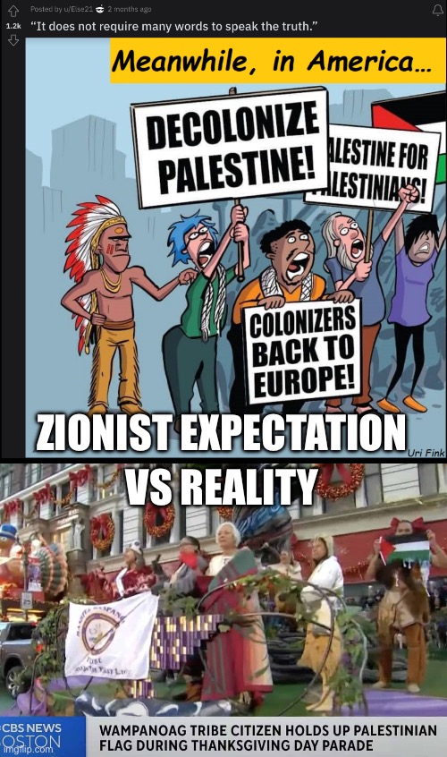 Zionist tries to clap back at Palestine protestors, accidentally admits they’re European settlers | ZIONIST EXPECTATION; VS REALITY | made w/ Imgflip meme maker