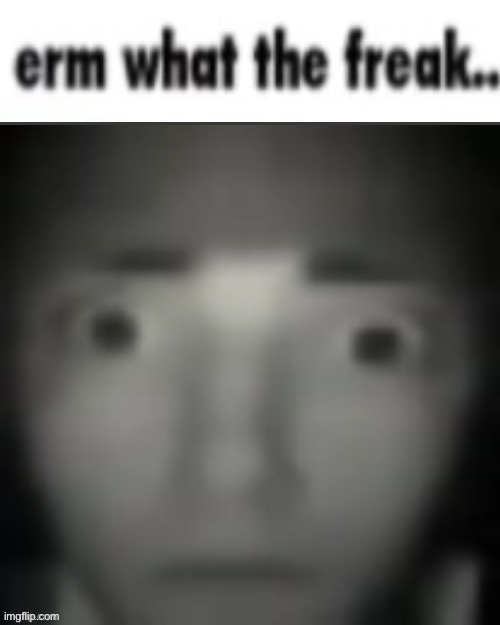 erm what the freak | image tagged in erm what the freak | made w/ Imgflip meme maker