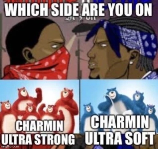 Charmin ultra strong | image tagged in which side are you on,charmin,memes,reposts,repost,strong | made w/ Imgflip meme maker
