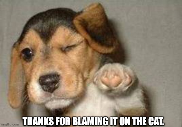 Dog wishing good luck | THANKS FOR BLAMING IT ON THE CAT. | image tagged in dog wishing good luck | made w/ Imgflip meme maker