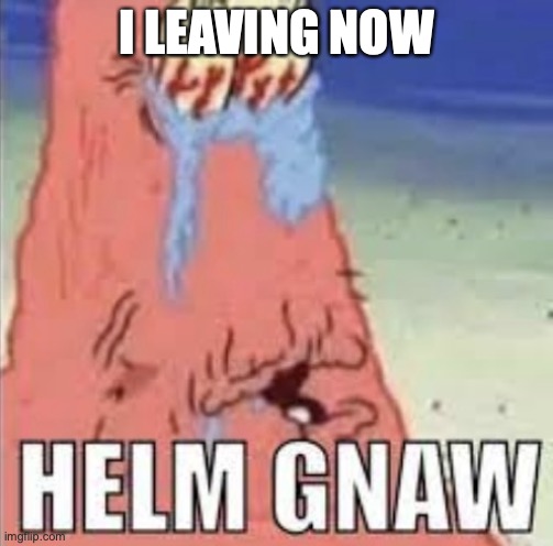 Bye people I won’t miss (Most of you) | I LEAVING NOW | image tagged in helm gnaw | made w/ Imgflip meme maker